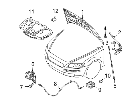 2009 Volvo C70 Hood & Components