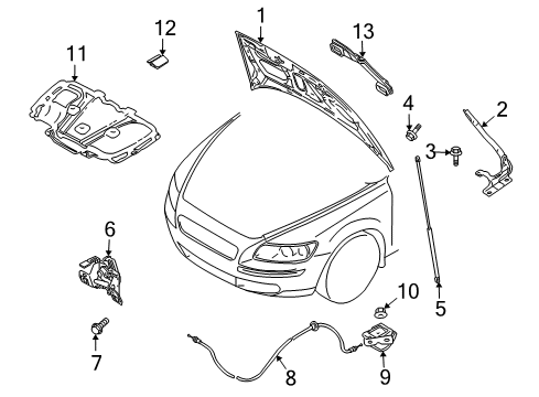 2009 Volvo V50 Hood & Components