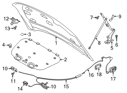 2024 Volvo XC60 Hood & Components