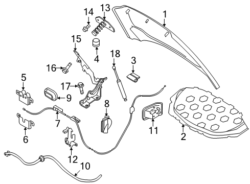 2009 Volvo S80 Hood & Components Diagram
