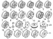 Diagram for Volvo Wheel Cover - 30639869