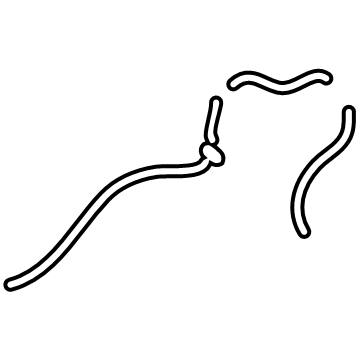 Volvo Hood Release Cable - 32234698