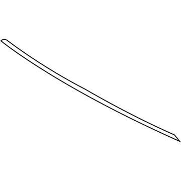 Volvo 30784939 Trim Molding