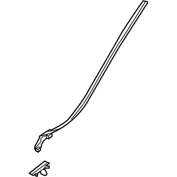 Volvo 31335864 Side Molding, Driver Side