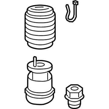 Volvo Air Suspension Spring - 31387233