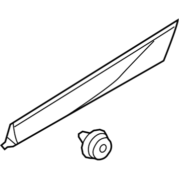 Volvo 39845948 Side Molding, Driver Side