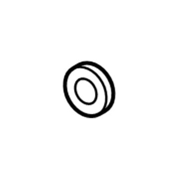 Volvo S80 Door Seal - 30716455