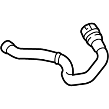 Volvo S80 Cooling Hose - 31368661
