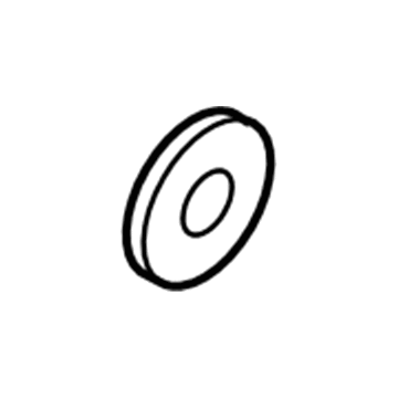Volvo S80 Door Seal - 30716456
