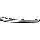 Volvo 32227905 Outer Molding, Driver Side