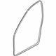 Volvo 8663773 Door Weatherstrip, Driver Side