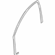 Volvo 30899957 Door Weatherstrip, Driver Side Volvo 30899957 Door Weatherstrip, Driver Side