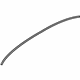 Volvo 31104337 Drip Molding, Driver Side
