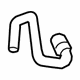 Volvo 30792833 Outlet Hose