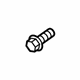 Volvo 30640854 Door Check Screw