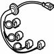 Volvo 30667315 Wire Harness